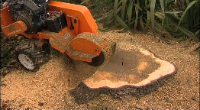 Stump Grinding Surrey Inc.