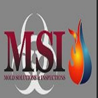 Mold Solutions & Inspections