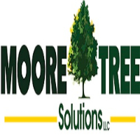 Moore Tree solutions