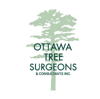 Ottawa Tree Surgeons & Consultants Inc.